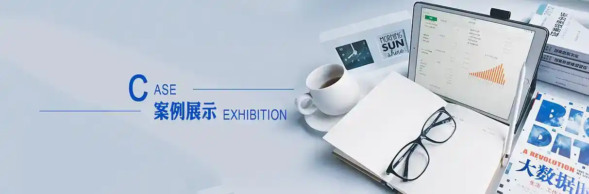 普兰县软件开发